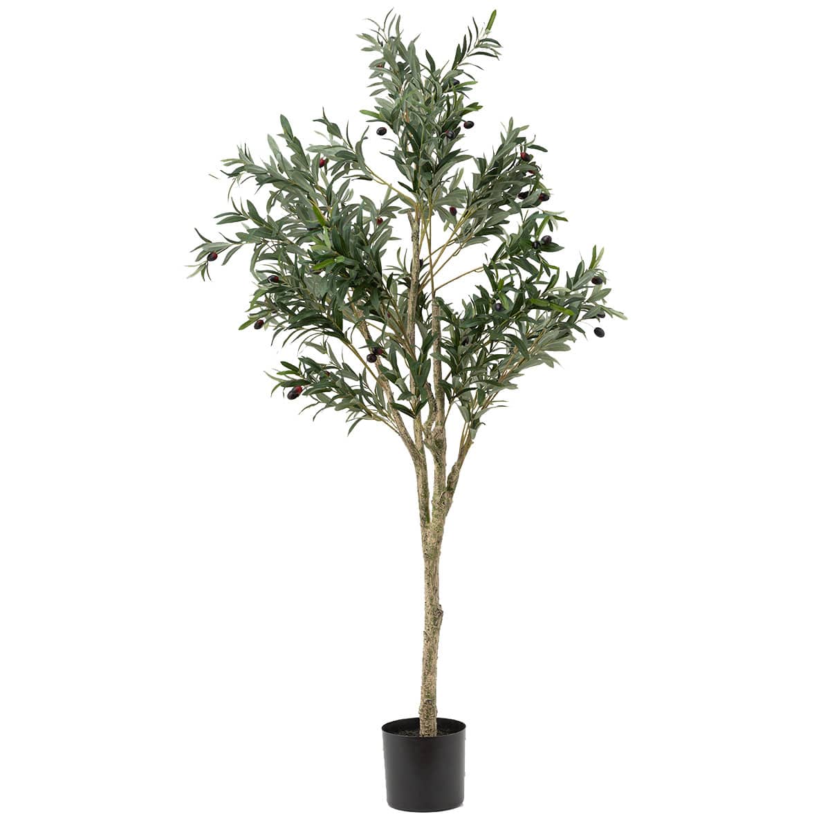 Qlグリーン オリーブ 150cm 通販 ニトリネット 公式 家具 インテリア通販 Qlグリーン オリーブ 150cm 通販 ニトリネット 公式 家具 インテリア通販