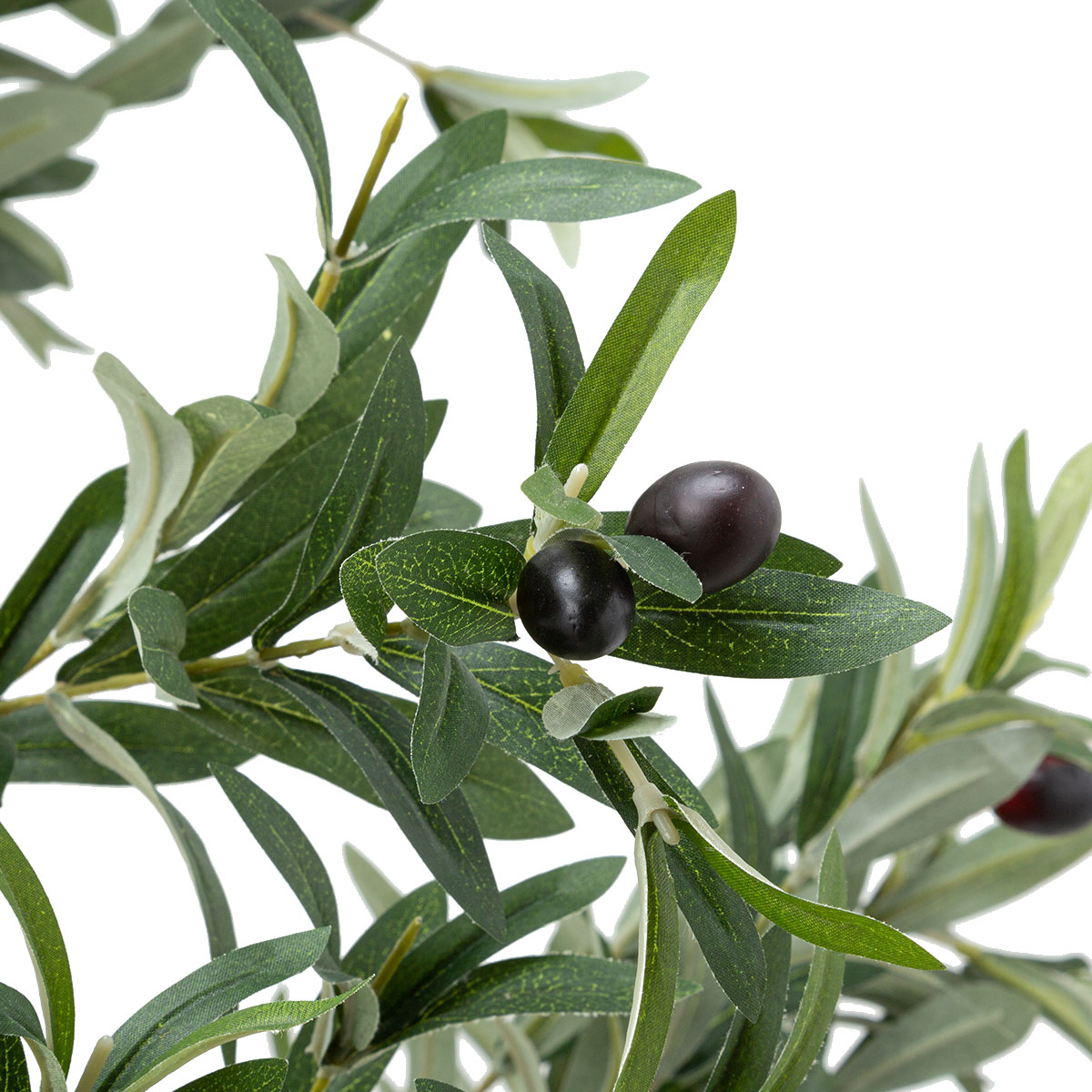 Qlグリーン オリーブ 155cm 通販 ニトリネット 公式 家具 インテリア通販 Qlグリーン オリーブ 155cm 通販 ニトリネット 公式 家具 インテリア通販