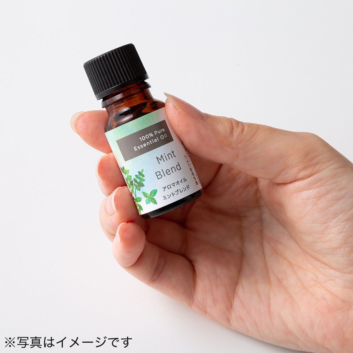 アロマオイル ミントブレンド 10ml 通販 ニトリネット 公式 家具 インテリア通販