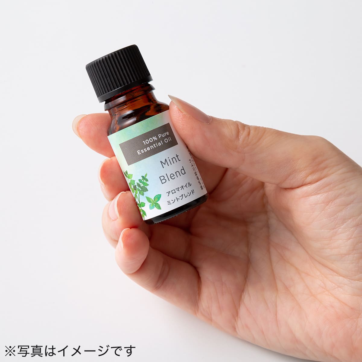 アロマオイル ミントブレンド 10ml 通販 ニトリネット 公式 家具 インテリア通販 アロマオイル ミントブレンド 10ml 通販 ニトリネット 公式 家具 インテリア通販