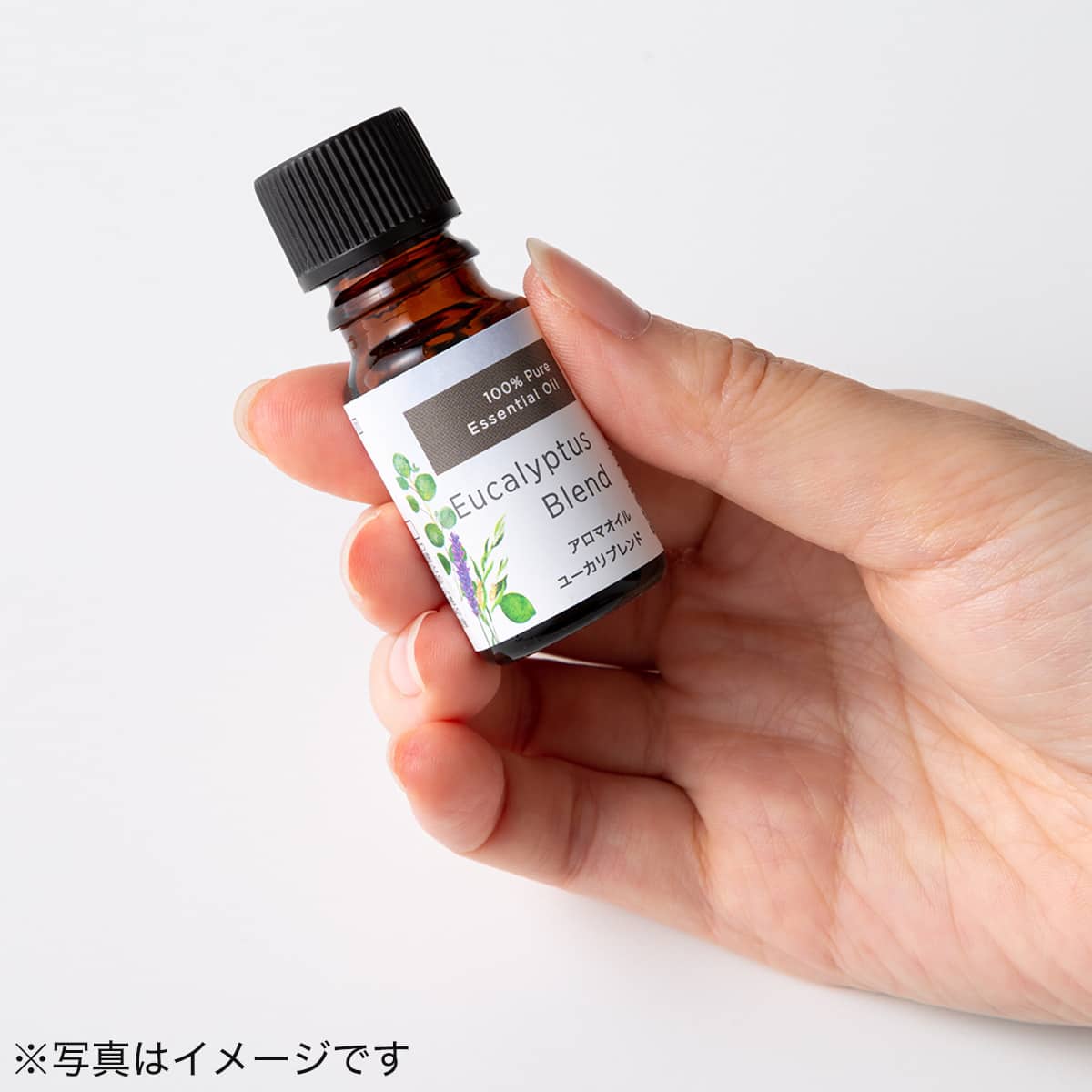アロマオイル ユーカリブレンド 10ml 通販 ニトリネット 公式 家具 インテリア通販 アロマオイル ユーカリブレンド 10ml 通販 ニトリネット 公式 家具 インテリア通販