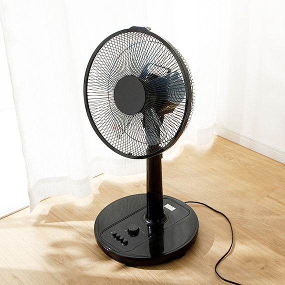 リビング扇風機(ブラック FT30M NS) 1枚目画像