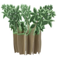 ペーパー加湿器(どこでもモイスチャー パキラ)