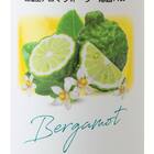 加湿器用アロマ除菌Plus(ベルガモッド 100mL) 2枚目画像