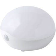 LEDセンサーライト ルームーンストーン