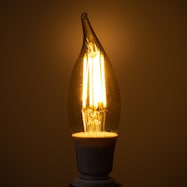 Led電球 おしゃれ ニトリネット 公式 家具 インテリア通販