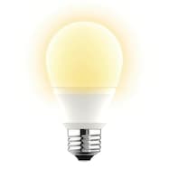 LED電球(E26口金 60W相当 LEE60WM-L)