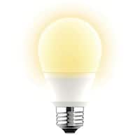 LED電球(E26 60W相当 LEE60WM-L)