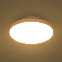 LEDミニシーリングライト エントラ 電球色(60L)