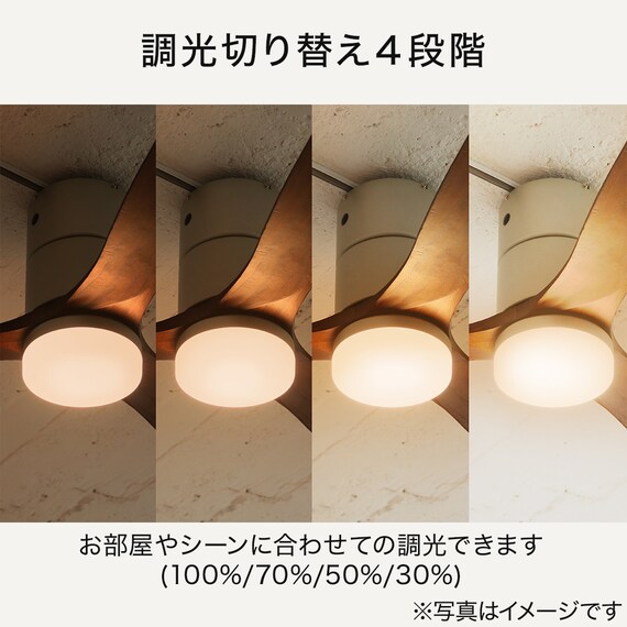 Modern Collection LED シーリングファン REAL wood blades(電球色 ホワイト) 3枚目画像