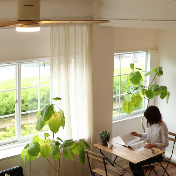 Modern Collection LED シーリングファン REAL wood blades(電球色 ホワイト) 7枚目画像