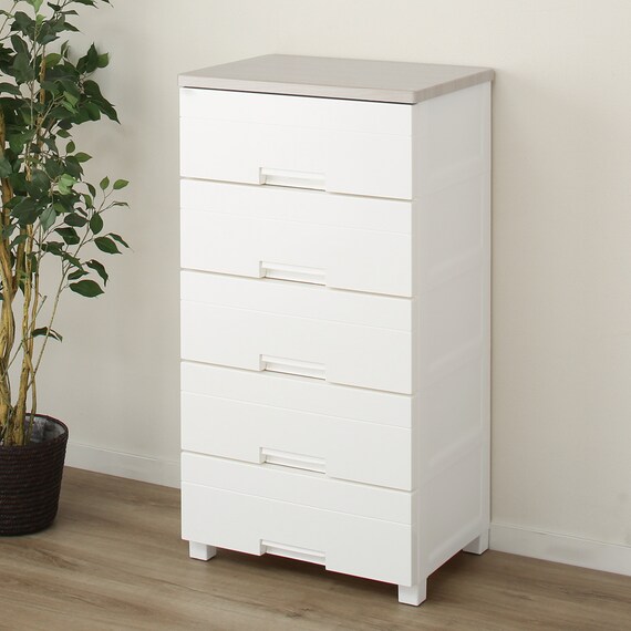 フィッツプラスNT2　幅55cm 5段 ホワイトウォッシュ(F5505) 1枚目画像