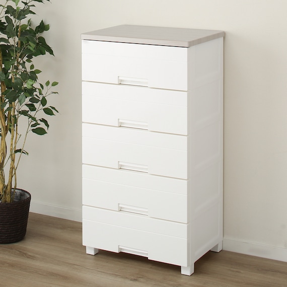 フィッツプラスNT2 幅55cm 5段 ホワイトウォッシュ(F5505) 1枚目画像