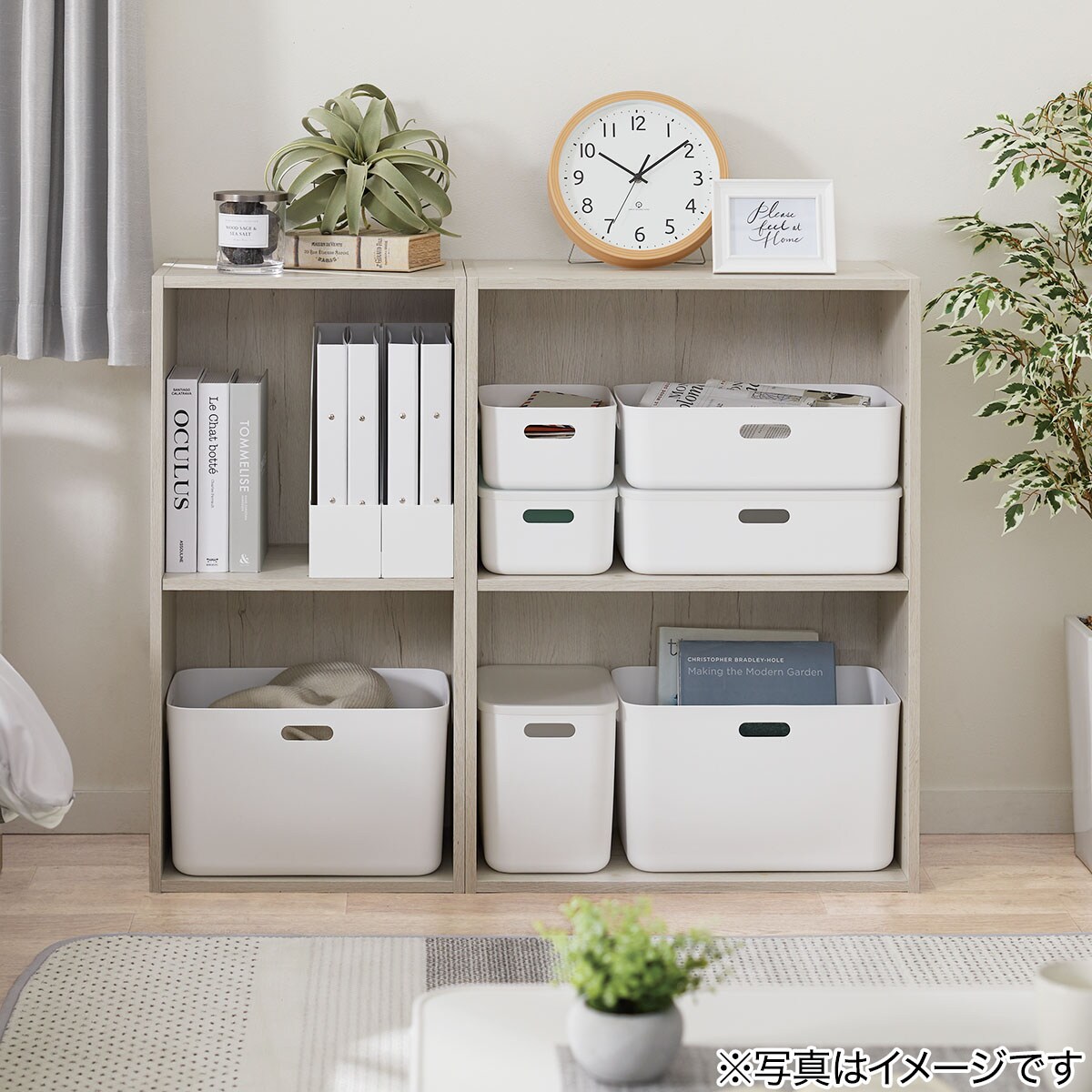 収納ケース ソフトnインボックス レギュラー通販 ニトリネット 公式 家具 インテリア通販 収納ケース ソフトnインボックス レギュラー通販 ニトリネット 公式 家具 インテリア通販