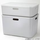 収納ケース ソフトNインボックス レギュラー ライトグレー 19枚目画像