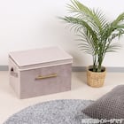 デザインストレージBOX蓋付き(PI) 2枚目画像