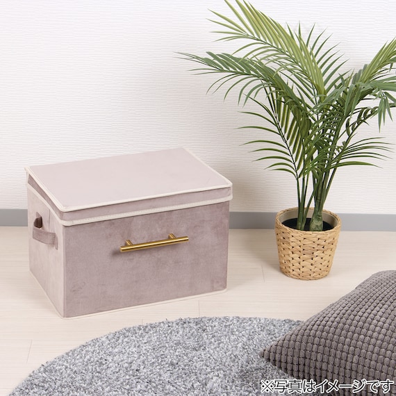 デザインストレージBOX蓋付き(PI) 2枚目画像