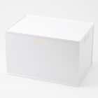 【ふた付きセット】バスケット Nインボックス レギュラー ホワイト ふた付き 1枚目画像