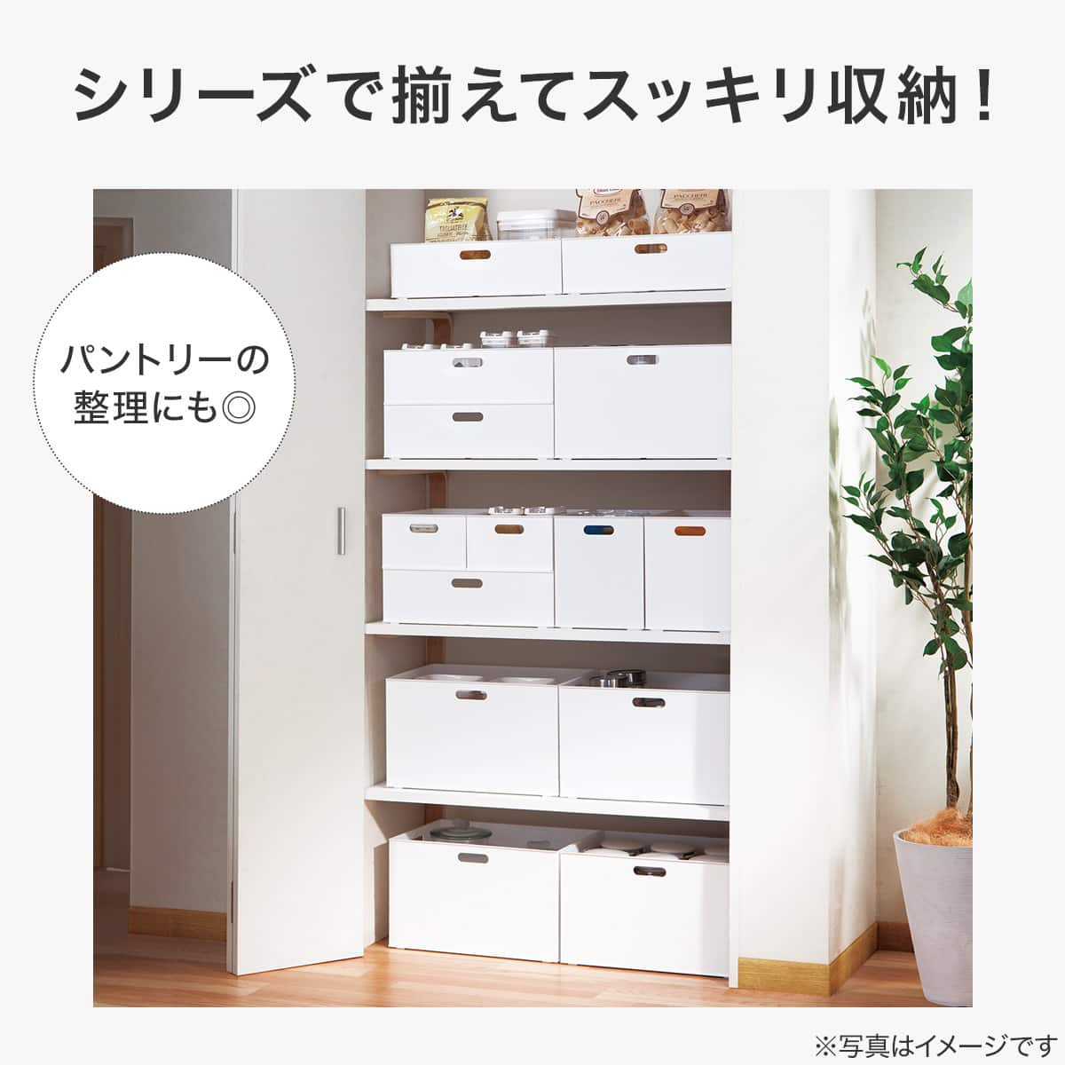 バスケット Nインボックス レギュラー グレー 3個セット | ニトリ