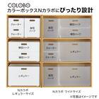 バスケット Nインボックス レギュラー ローズ 4枚目画像