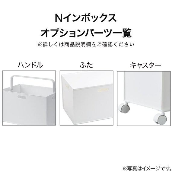 バスケット Nインボックス レギュラー ローズ 6枚目画像