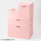 バスケット Nインボックス レギュラー ローズ 12枚目画像