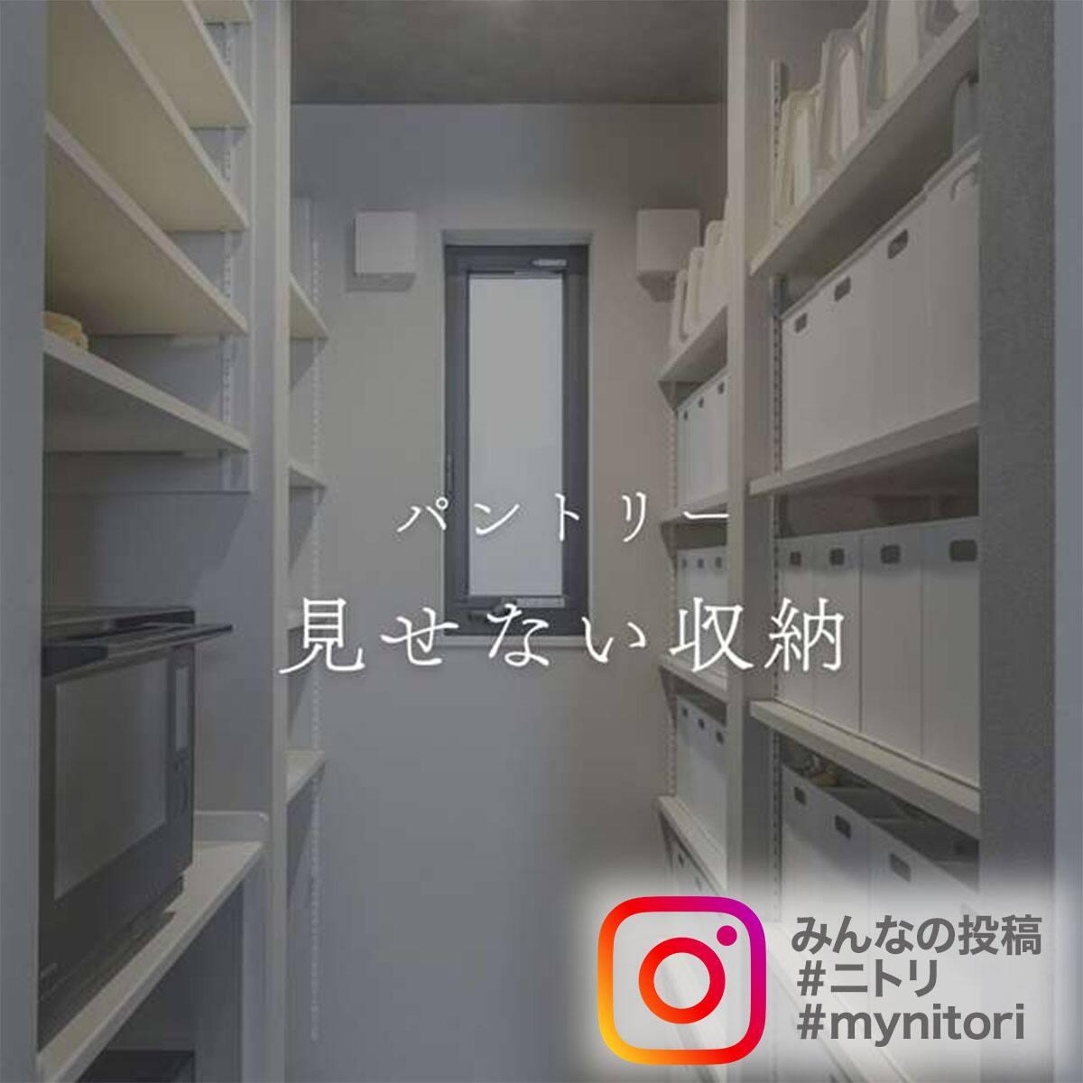 バスケット Nインボックス レギュラー ブラック | ニトリネット【公式