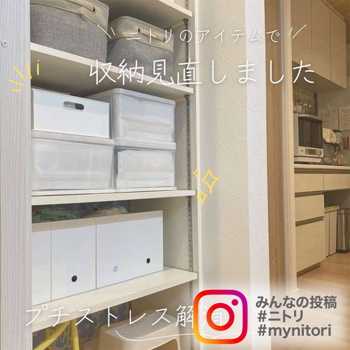 小物収納ケース FD(S) | ニトリネット【公式】 家具・インテリア通販