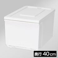 幅25.5/51×奥行39.5×高さ23.5cm引き出し収納ケース Nフラッテ