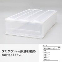 押入れケース セレスFD ワイド浅型(S/高さ18cm)