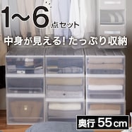 【たっぷり収納】(奥行55cm)クローゼットケース セレスFD