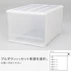 クローゼットケース セレスFD (L/高さ30cm) 2枚目画像