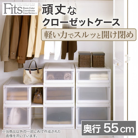 【奥行55cm】クローゼット用フィッツユニットケース(幅45cm×高さ20cm ホワイト) 2枚目画像