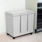 横型3分別 プッシュペールワゴン(60L) 1枚目画像