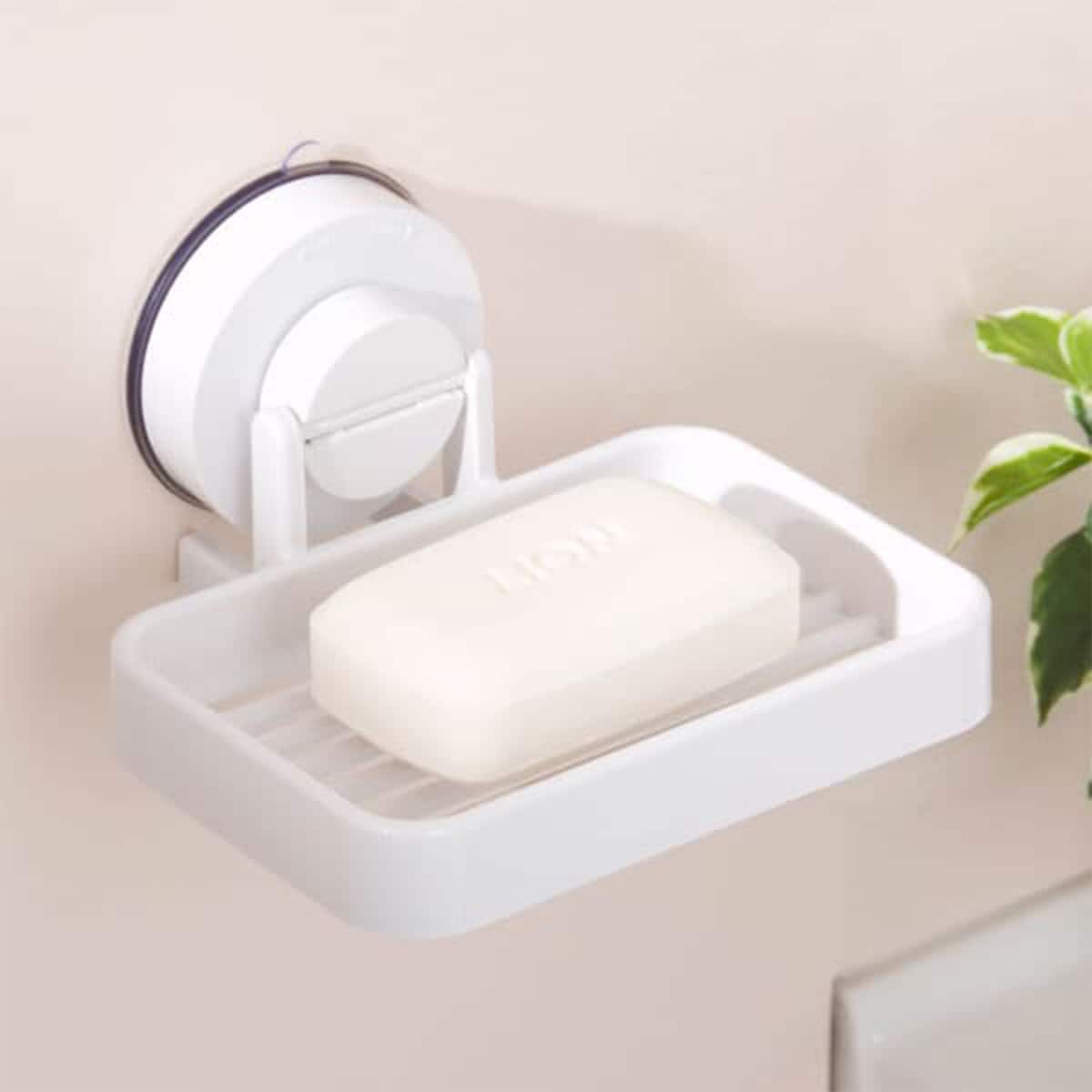 吸盤ソープディッシュ S60 クレド 通販 ニトリネット 公式 家具 インテリア通販 吸盤ソープディッシュ S60 クレド 通販 ニトリネット 公式 家具 インテリア通販