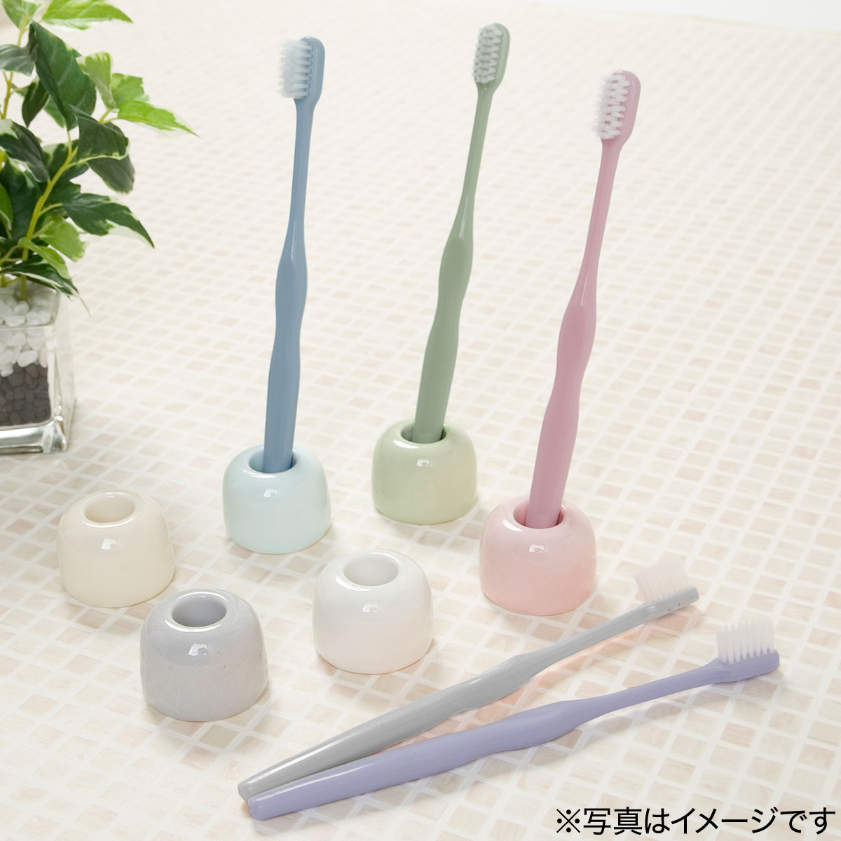 歯ブラシスタンド ピスク通販 ニトリネット 公式 家具 インテリア通販 歯ブラシスタンド ピスク通販 ニトリネット 公式 家具 インテリア通販