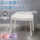 アルミ脚ワイド抗菌風呂イス 高さ45cm(5180 ホワイト) 2枚目画像