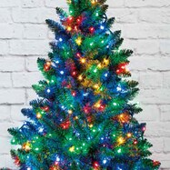 クリスマスグッズ通販 ニトリネット 公式 家具 インテリア通販