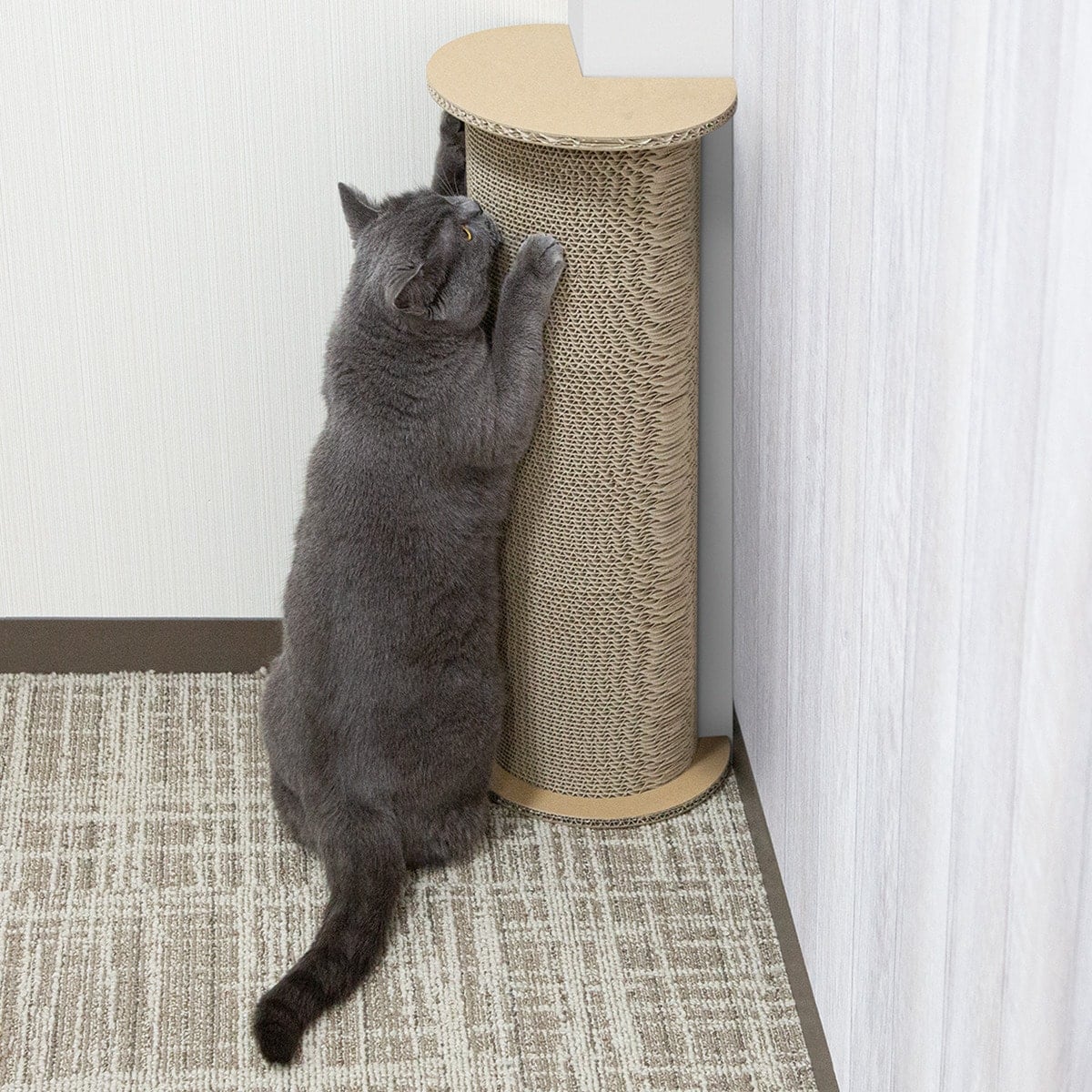 コーナーを守る爪とぎ通販 ニトリネット 公式 家具 インテリア通販 コーナーを守る爪とぎ通販 ニトリネット 公式 家具 インテリア通販