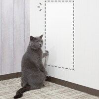爪とぎ防止シート