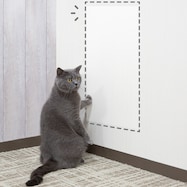 爪とぎ防止シート