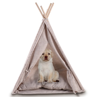 画像はWEBサイトのOGPタグから引用しています