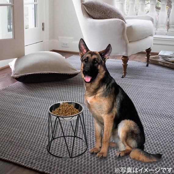 ワイヤースタンドステンレスフードボウル(L) 3枚目画像