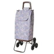 値下げ！！】キャリーバッグ （Bianchi - 値下げ！ キャリーバック  