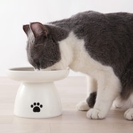 高台付きすべりにくいフードボウル