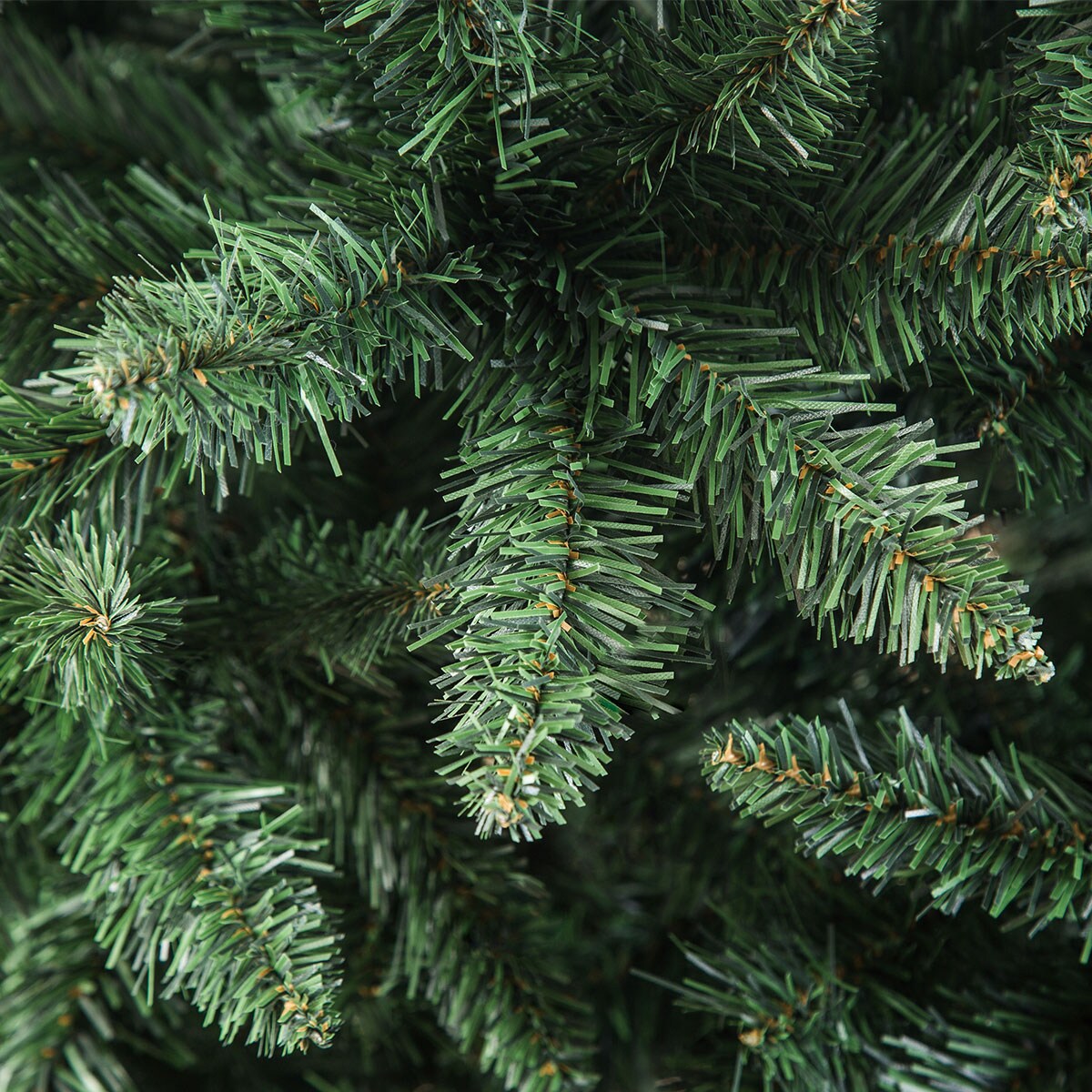 ヌードツリー(210cm OFL) | ニトリネット【公式】 家具・インテリア通販