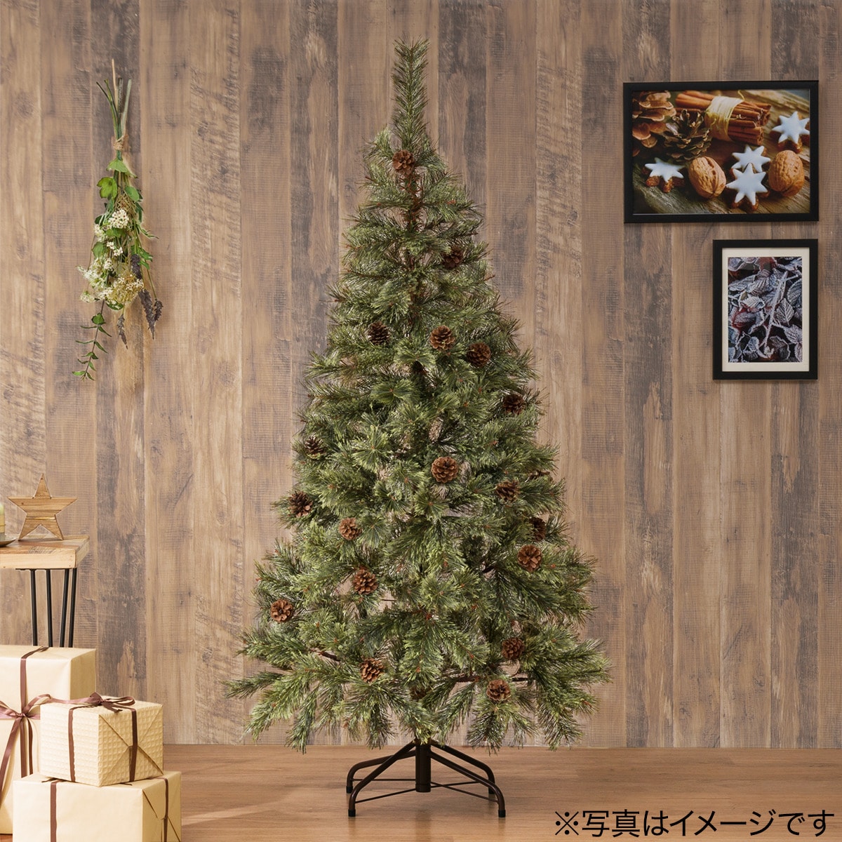 ヌードツリー 150cm ベルフォレ N2fl 通販 ニトリネット 公式 家具 インテリア通販 ヌードツリー 150cm ベルフォレ N2fl 通販 ニトリネット 公式 家具 インテリア通販