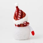 LEDオーナメント(ユキダルマL レッド n3FL) 6枚目画像