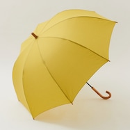 傘 60cm チェック