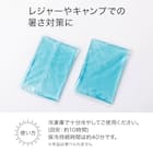 バタフライチェアカバー用 保冷剤200g×2個入り(C01 CS) 3枚目画像